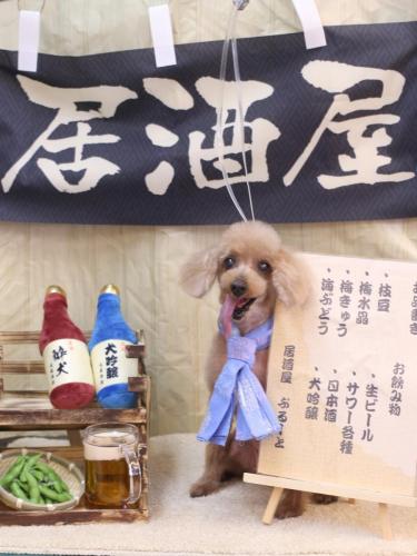 20240619モカちゃん